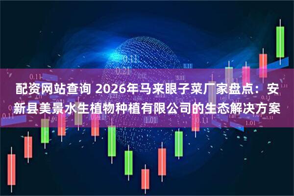 配资网站查询 2026年马来眼子菜厂家盘点：安新县美景水生植物种植有限公司的生态解决方案