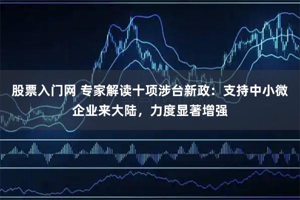 股票入门网 专家解读十项涉台新政：支持中小微企业来大陆，力度显著增强